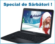 Promotii Sarbatori One-IT