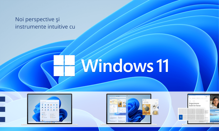 Windows 11