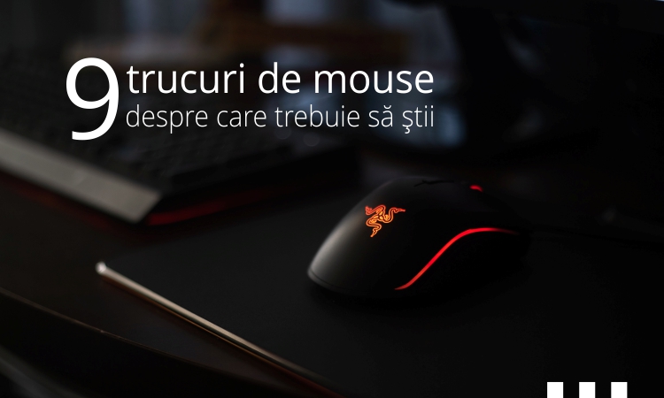 mouse