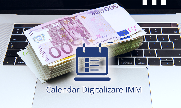 calendar digitalizare imm