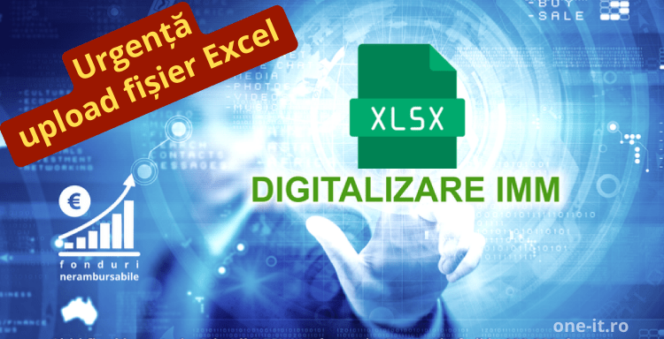 Digitalizare_IMM_excel