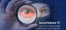 Securitatea IT: Cum a dus o parolă slabă la falimentul unei companii?
